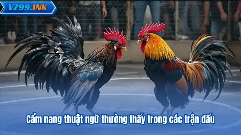 Cẩm nang thuật ngữ thường thấy trong các trận đấu