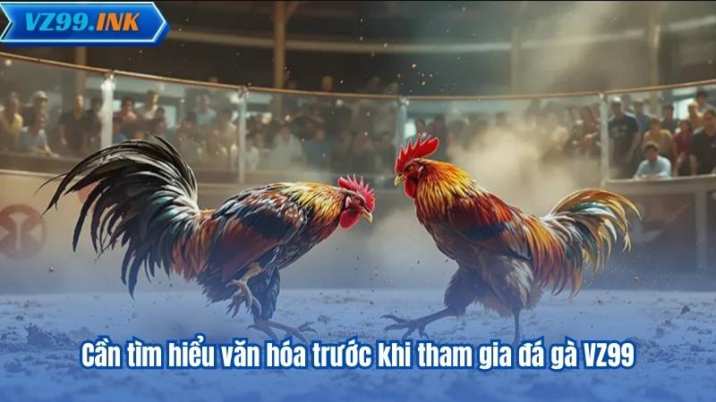 Cần tìm hiểu văn hóa trước khi tham gia đá gà VZ99