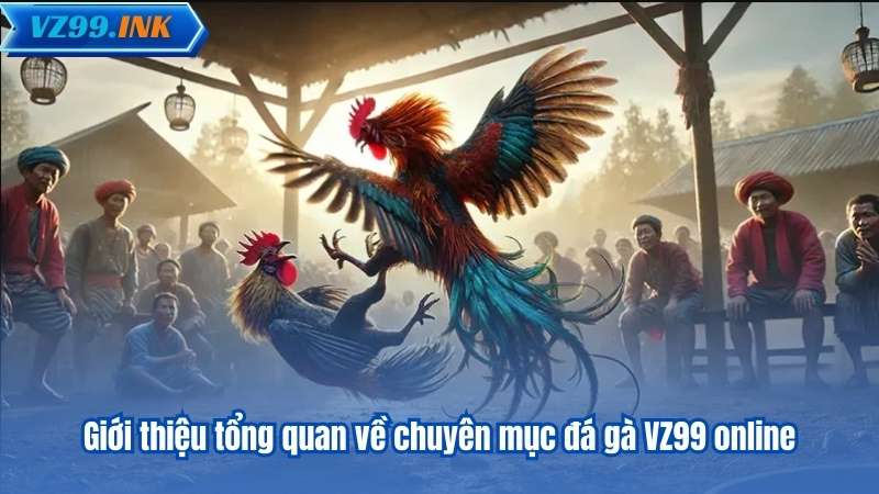Giới thiệu tổng quan về chuyên mục đá gà VZ99 online