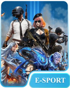 banner esports vz99
