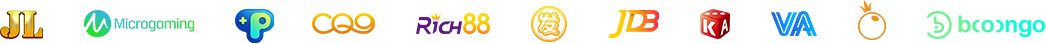 logo nhà cung cấp hợp tác cùng vz99