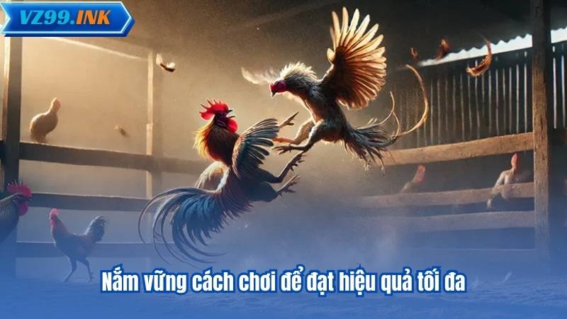 Nắm vững cách chơi để đạt hiệu quả tối đa